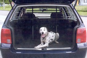 Hundegitter Trenngitter PKW Transportgitter Hundezaun