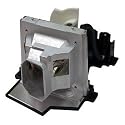 Optoma Multimedia Projector Replacement Lamp (BL-FP180B)