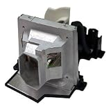 Optoma Multimedia Projector Replacement Lamp (BL-FP180B)