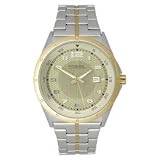 Fossil 100M Date Display Window Mens Watch - AM4136