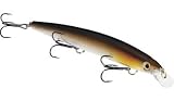 Fishing: Rapala MaxRap Lure