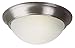 Transglobe Lighting 57702 BN Flush Mount with Marbelized Glass Shades, Brushed Nickel Finished