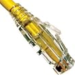 Platinum Tools 202036J Strain Relief for EZ-RJ45 Cat6+ Connector. 100 pc. Jar