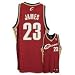 LeBron James adidas NBA Maroon Authentic Cleveland Cavaliers Jersey