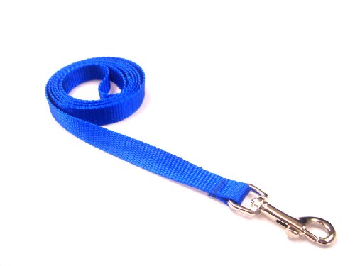 Xsmall Blue Dog Leash/Nylon Webbing: 1/2