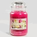 Yankee Fruit Smoothie 22oz Housewarmer Candle