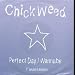 PERFECT DAY/WANNABEE 7 INCH (7