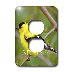 Birds - American Gold Finch - Light Switch Covers - 2 plug outlet cover