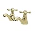 Kitchen & Housewares : Viscount basin taps antique gold