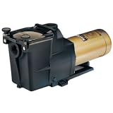 31rsJtUrt3L. SL160  Buy Hayward Pool Pumps