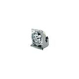 Viewsonic Replacement Lamp - 200W Projector Lamp - 4000 Hour