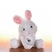 Lil'Kinz Mini Plush Stuffed Animal White Rabbit