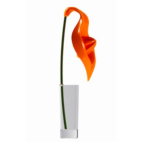 Spicy Anthurium Zitronenpresse mit Glas, Farbe: 