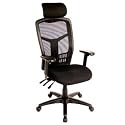 interion Office Chair with Headrest & Arm Rests