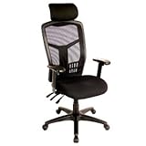 interion Office Chair with Headrest & Arm Rests