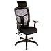 interion Office Chair with Headrest & Arm Rests