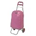 Trolley I LOVE SHOPPING pink  Nie mehr ohne Shoppen!