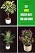 128 Houseplants You Can Grow:symbol-coded for Easy Care