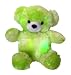 Cepia 12 Sparkle Bear in Green