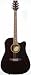Acoustic-Electric Realm Series Walnut Guitar