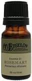 C.O. Bigelow Essential Oil - Rosemary 10ml/0.33oz
