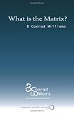 What is the Matrix?: Jean Baudrillard and Simulation in the Wachowski Brothers Matrix Series