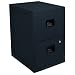 SentrySafe Fire-Safe 2-Drawer Insulated Vertical File, Black