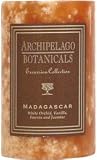 Archipelago Botanicals Excursion Collection Candle Pillar ( 3 in L x 2 in W ) (Duo Pillars) Madagascar