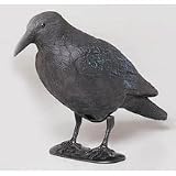 Unimet Rabe Schwarz Kunststoff 38 Cm