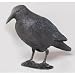 Garten & Freizeit : Unimet Rabe Schwarz Kunststoff 38 Cm