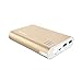 Jackery Giant+ 12,000 mAh Dual USB Portable Battery Charger & External Battery Pack for iPhone, iPad, Galaxy, and Android Smart Devices (Gold)