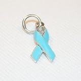 Light Blue Awareness Ribbon Sterling Silver Charm