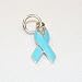 Light Blue Awareness Ribbon Sterling Silver Charm