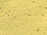 BL Plantable Wildflower Yellow Seed Paper