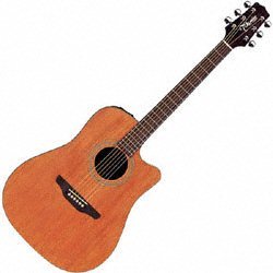 Childrens Toyshop  Musical Instruments : Takamine EGS-330SC Acoustic/Electric Cutaway, Natural