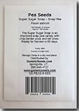 Super Sugar Snap Peas Seeds - Pisum Sativum - 8 Grams - Approx 32 Gardening Seeds - Vegetable Garden Seed