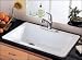 American Standard 7193.804.195 Earth Lakeland Single Basin Americast Kitchen Sink fro...