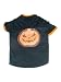Dog t shirt Jack O' Lantern Halloween Pumpkin Costume with Bling Large