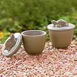 Review Novica  / Salt and pepper cups, 'Swimming Turtles'