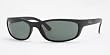 Ray-Ban RB 4115 sunglasses