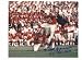 Gino Cappelletti New England Patriots Autographed 8