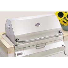 Fire Magic BuiltIn 30