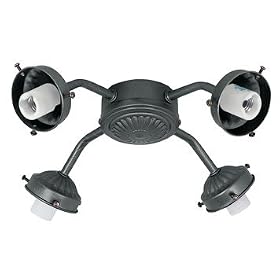 Hunter H22674 4-Light Iron Light Fitter