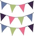 Plain bunting