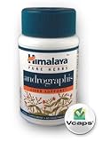 Andrographis - Liver Support (250 mg - 60 Vegicaps)