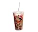 New Evergreen Enterprises Inc Insulated Cup W/Straw & Twist Lid-Bird Study High Quality