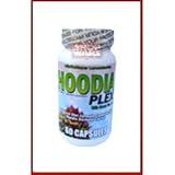 MaritzMayer Lab - Hoodia Plex with Green Tea - Dietary Supplement - 60 capsules