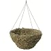 Hanging Moss Basket (20