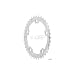 Race Face Race Chainring, 110mm, 36T, Silver