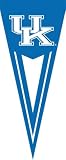 Kentucky Wildcats UK New Wall Pennant Flag Banner NCAA